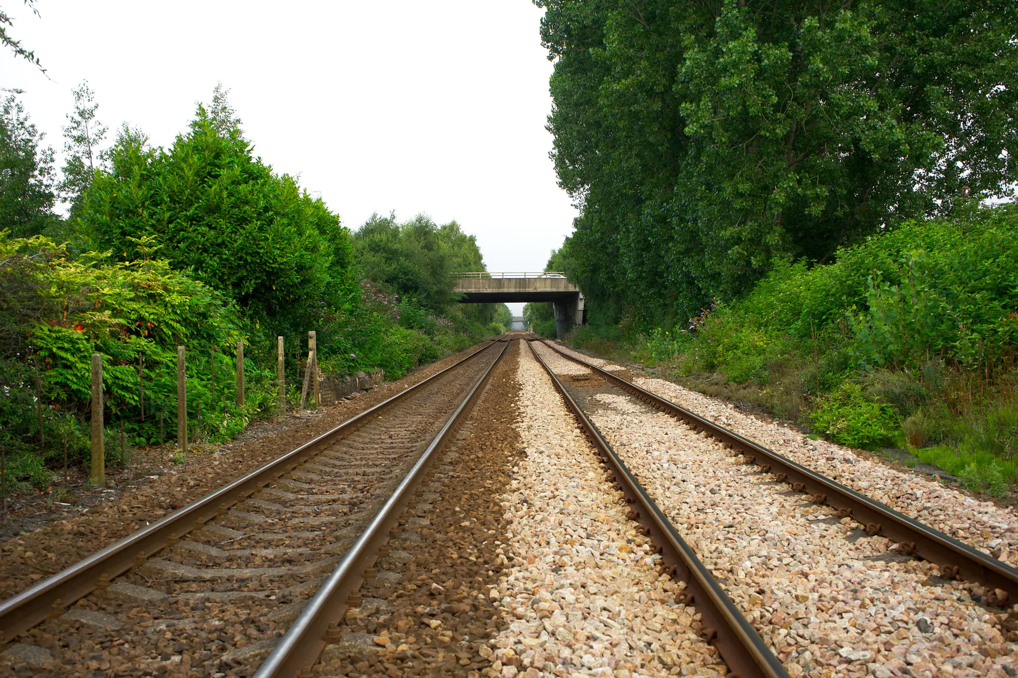 A double-track running line with lineside trees and scrub close on both sides, running towards an overbridge