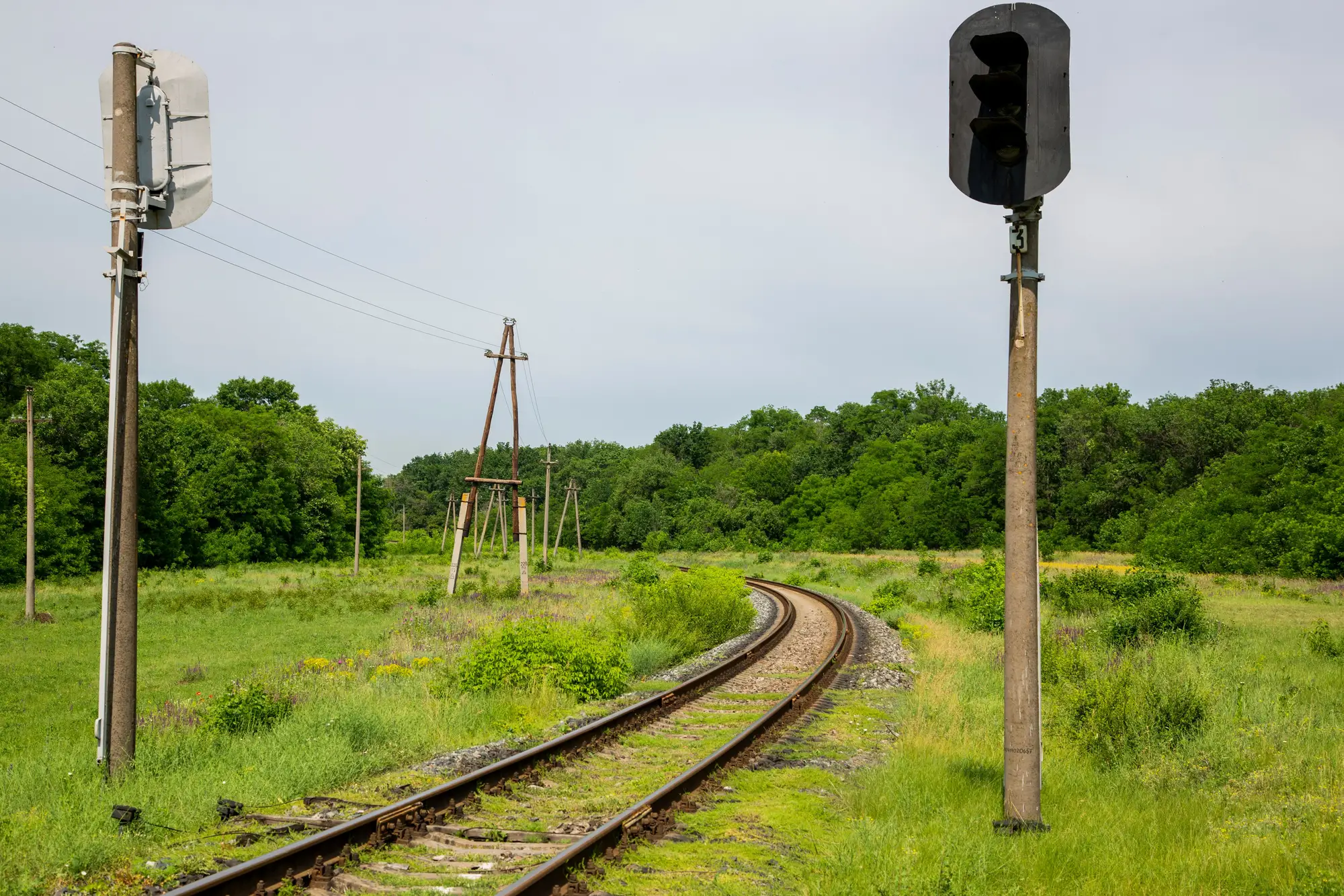 A single line curving away between grass and trees, a signal post beside the track in the foreground